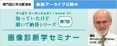 やっぱり そーだったんだ！ I knew it！ 知っていたけど 聞いて納得シリーズ 第7回 動画アーカイブ公開