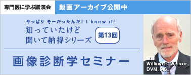 やっぱり そーだったんだ！ I knew it！ 知っていたけど 聞いて納得シリーズ 第14回 動画アーカイブ公開