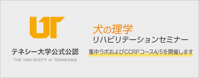 CCRP 集中ラボ および コース4/5 を開催