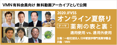 2020 JFVSS オンライン夏祭り 動画アーカイブ公開