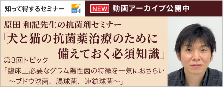 原田 和記先生の抗菌剤セミナー 第3回 動画アーカイブ公開