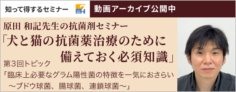 原田 和記先生の抗菌剤セミナー 第3回 動画アーカイブ公開