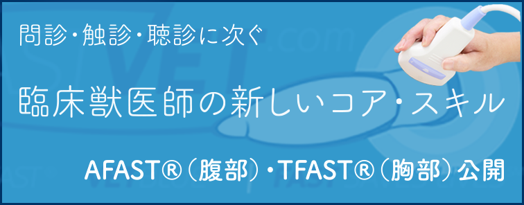 TFAST 開催