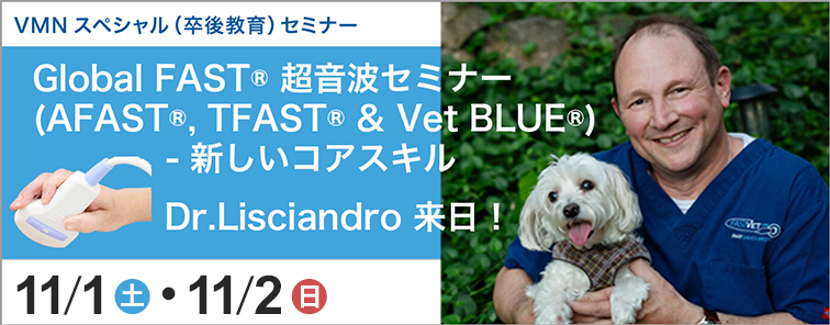 Global FAST® 超音波セミナー 新しいコアスキル 開催