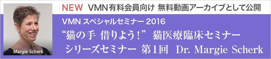 動画アーカイブを公開しました