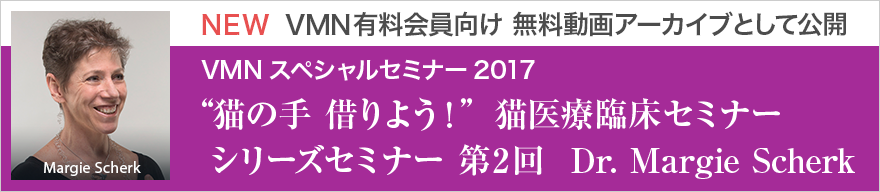 動画アーカイブを公開しました