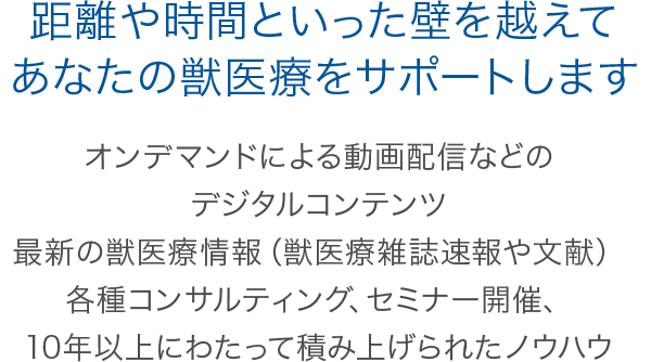 VMN（Veterinary Medical Network）| 臨床獣医師のための情報サイト