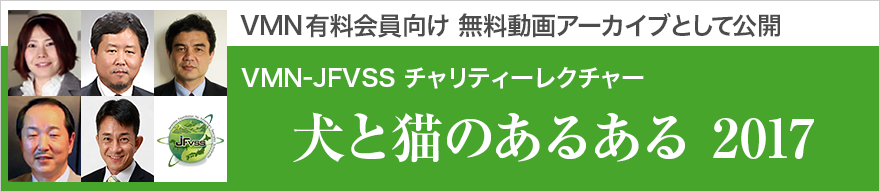 動画アーカイブを公開しました