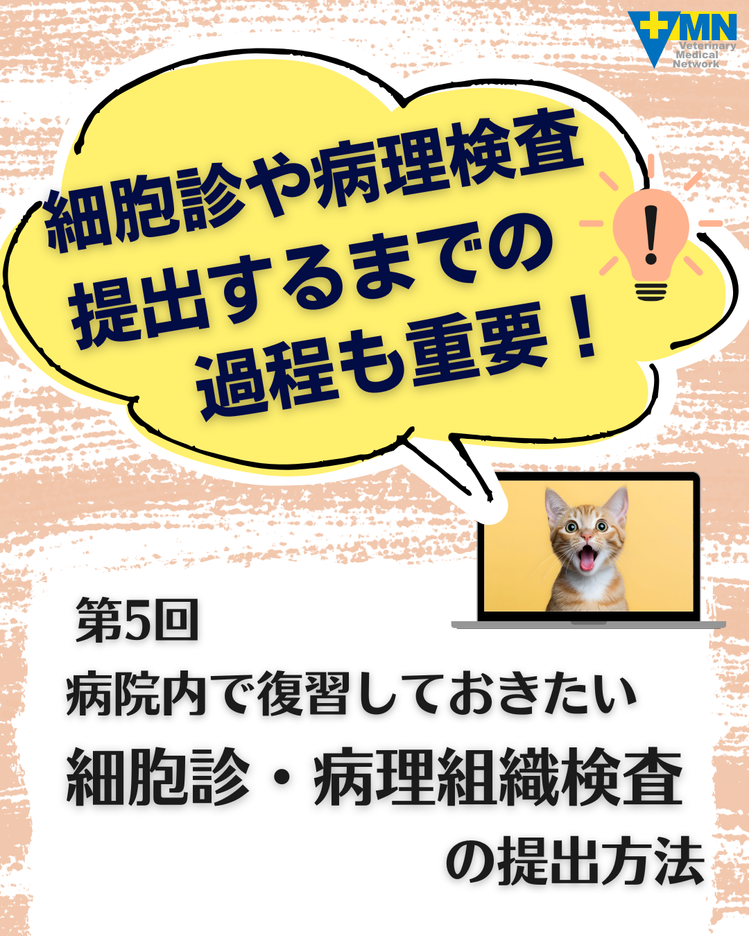 第5回 病院内で復習しておきたい細胞診・病理組織検査の提出方法
