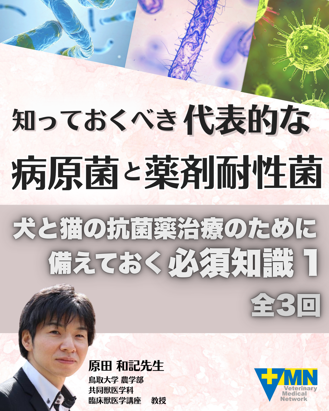 犬と猫の抗菌薬治療のために備えておく必須知識 〜知っておくべき代表的な病原菌と薬剤耐性菌〜
