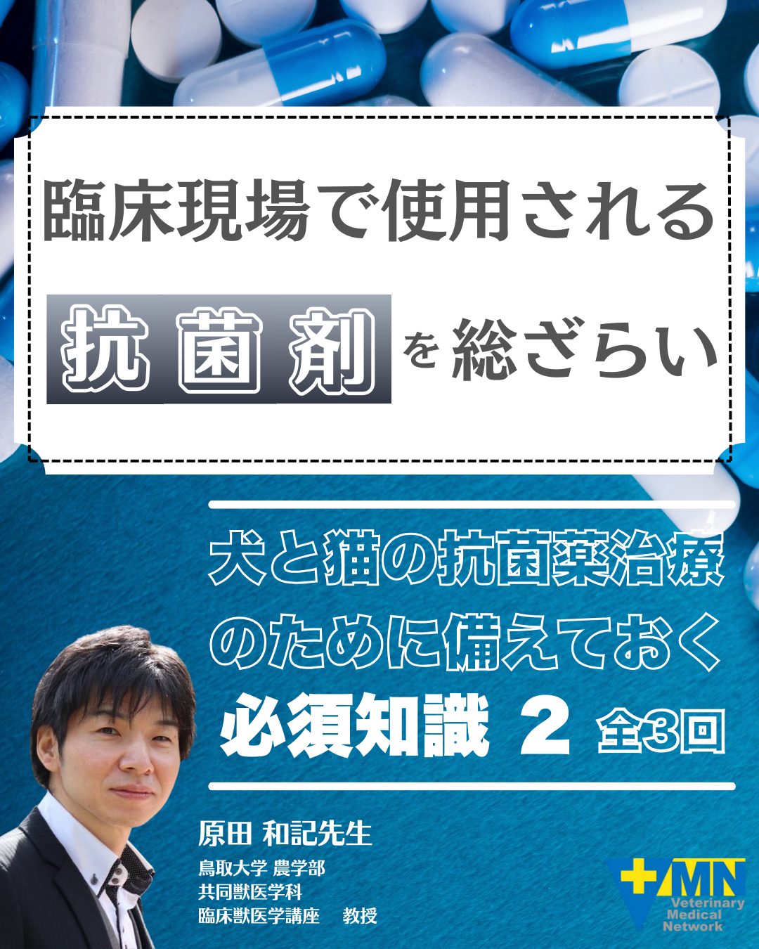 犬と猫の抗菌薬治療のために備えておく必須知識 ２ 〜臨床現場で使用される抗菌薬を総ざらい〜