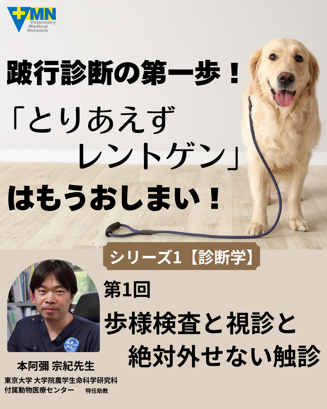 第1回 歩様検査と視診と絶対外せない触診