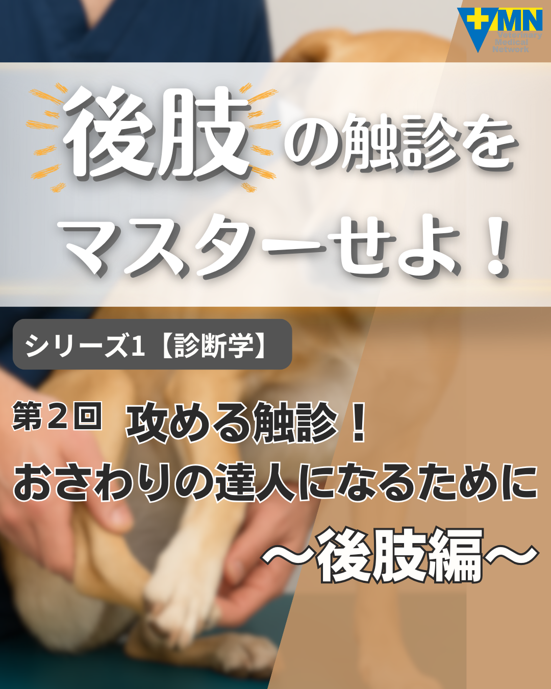 第2回 攻める触診！おさわりの達人になるために〜後肢編〜