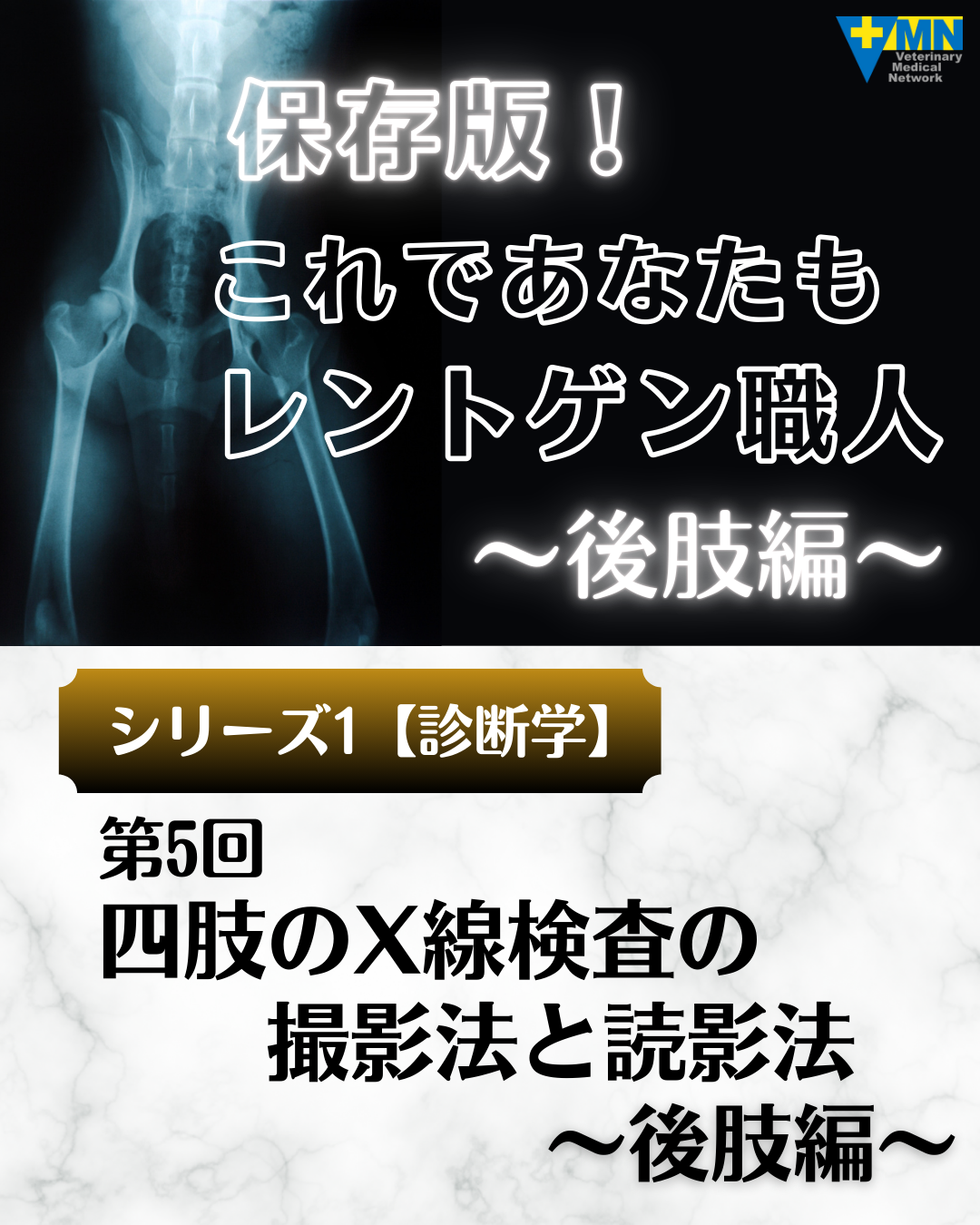 第5回 四肢のX線検査の撮影法と読影法〜後肢編〜