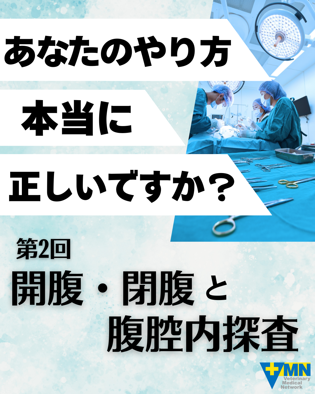 第2回 開腹・閉腹と腹腔内探査