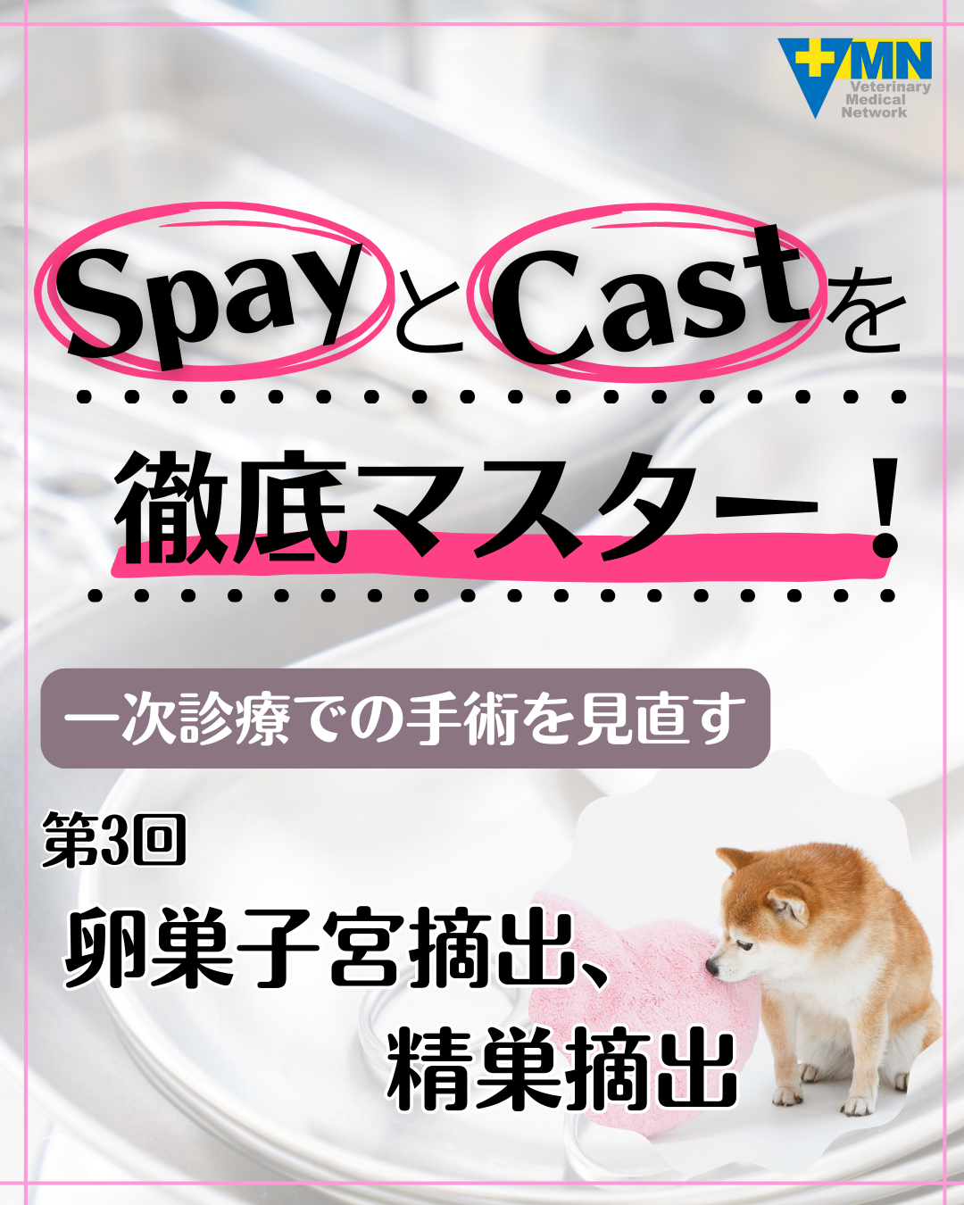 第3回 一次診療での手術を見直す〜卵巣子宮摘出、精巣摘出〜