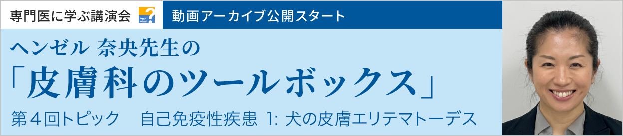 動画アーカイブを公開しました