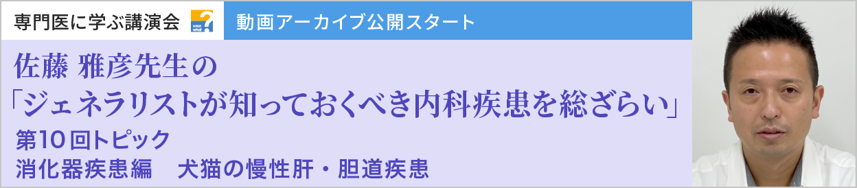 動画アーカイブを公開しました