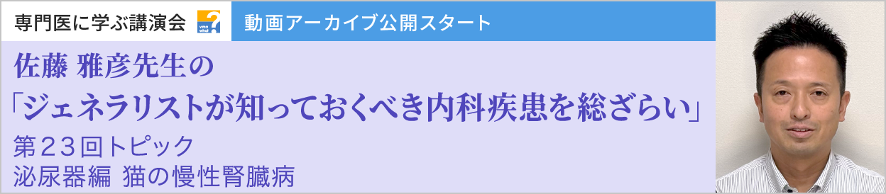 動画アーカイブを公開しました