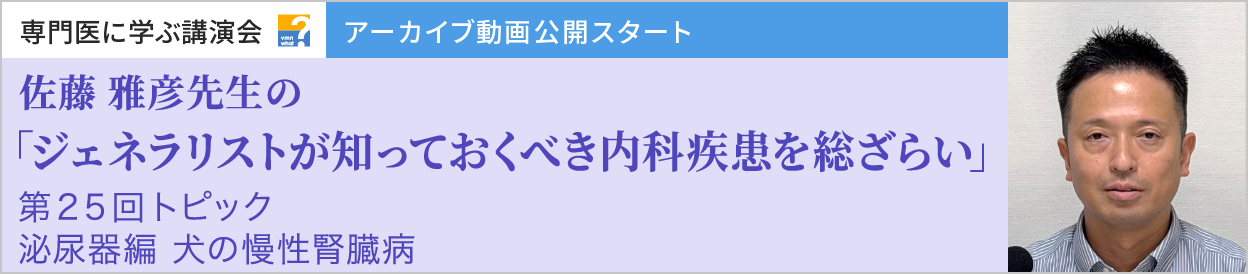 アーカイブ動画を公開しました