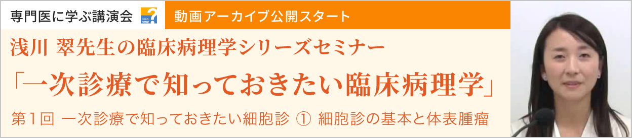 動画アーカイブを公開しました