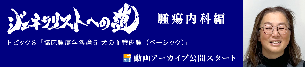 動画アーカイブを公開しました