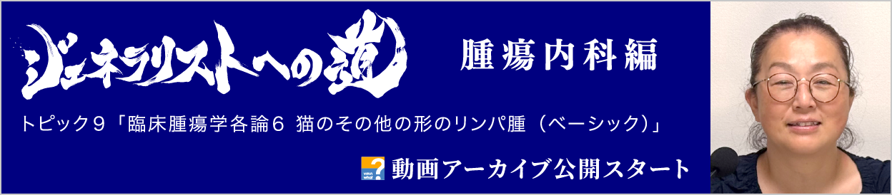 動画アーカイブを公開しました