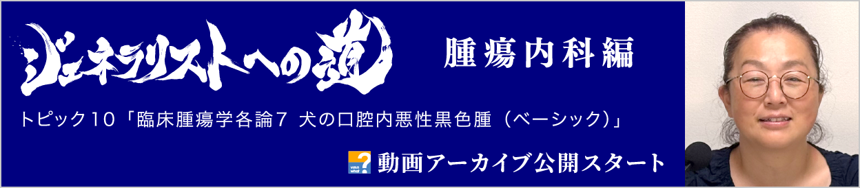 動画アーカイブを公開しました