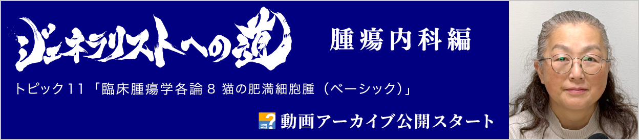 動画アーカイブを公開しました