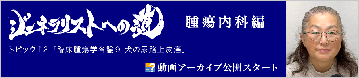 動画アーカイブを公開しました