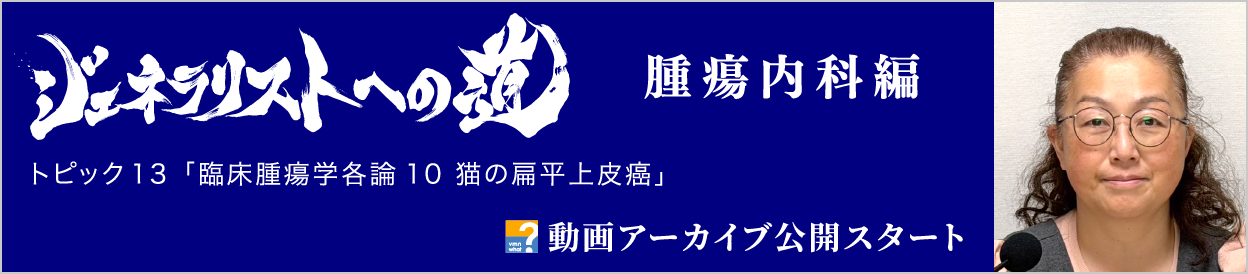 動画アーカイブを公開しました