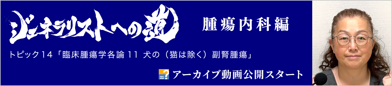 動画アーカイブを公開しました