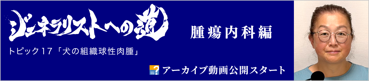 アーカイブ動画を公開しました