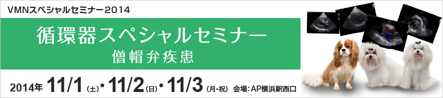 VMN スペシャルセミナー2014 循環器スペシャルセミナー