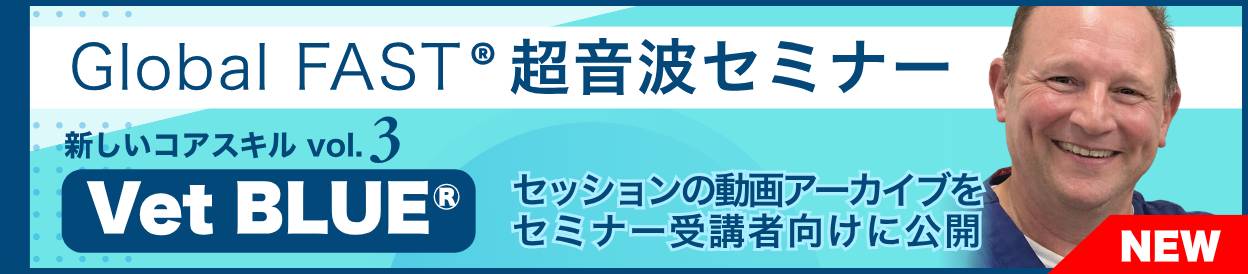 動画アーカイブを公開しました