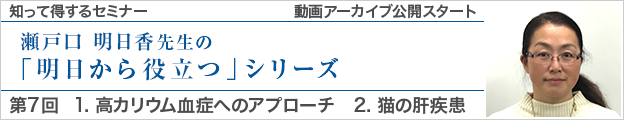 動画アーカイブを公開しました