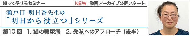 動画アーカイブを公開しました