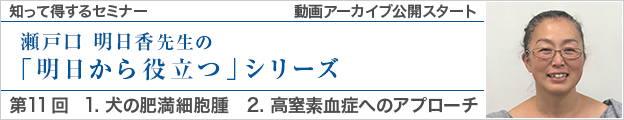 動画アーカイブを公開しました