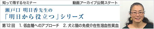 動画アーカイブを公開しました