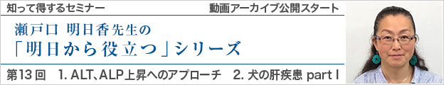 動画アーカイブを公開しました