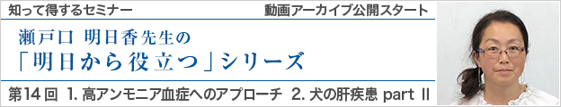 動画アーカイブを公開しました