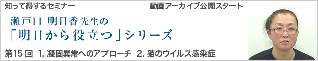 動画アーカイブを公開しました