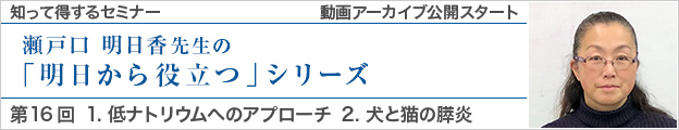 動画アーカイブを公開しました