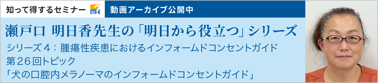 動画アーカイブを公開しました