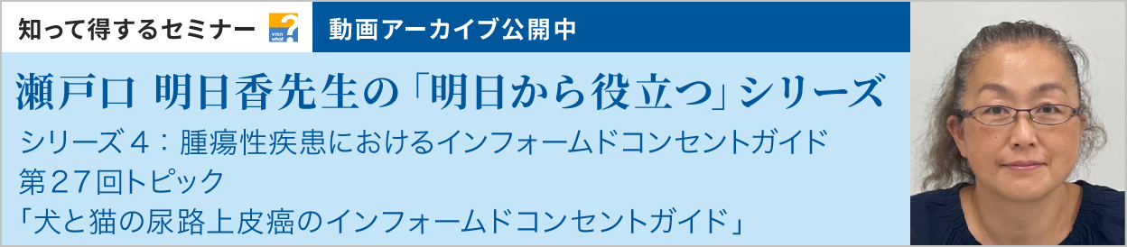 動画アーカイブを公開しました