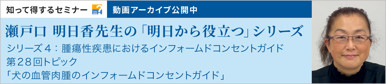 動画アーカイブを公開しました