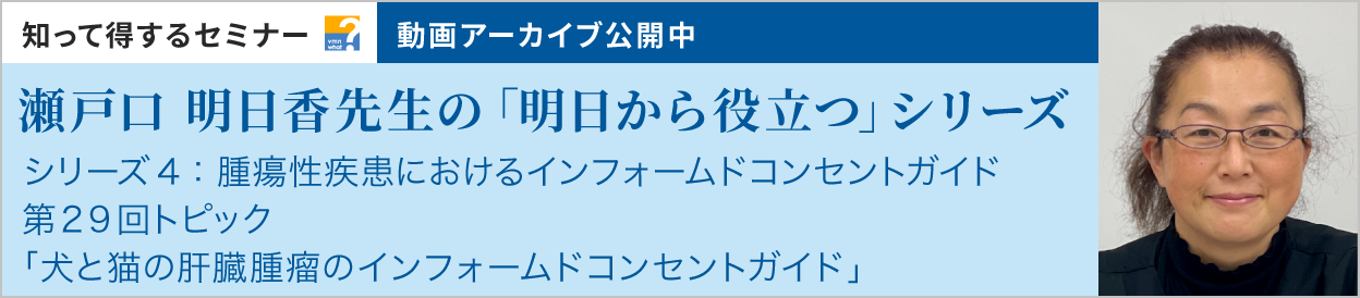 動画アーカイブを公開しました