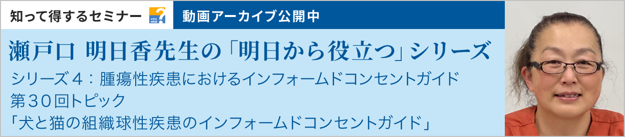 動画アーカイブを公開しました