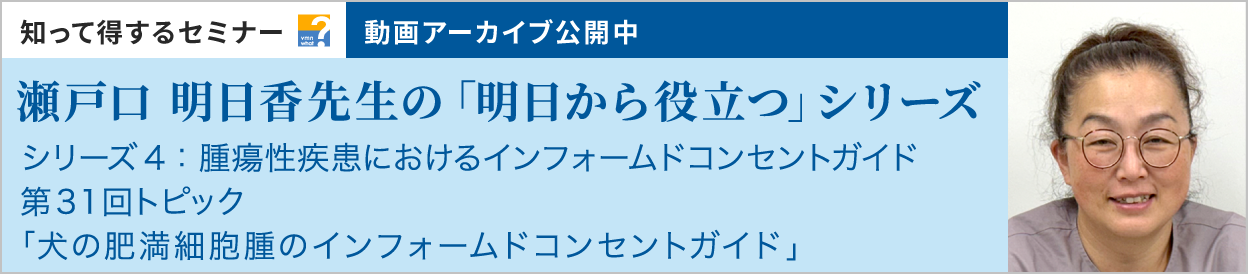 動画アーカイブを公開しました