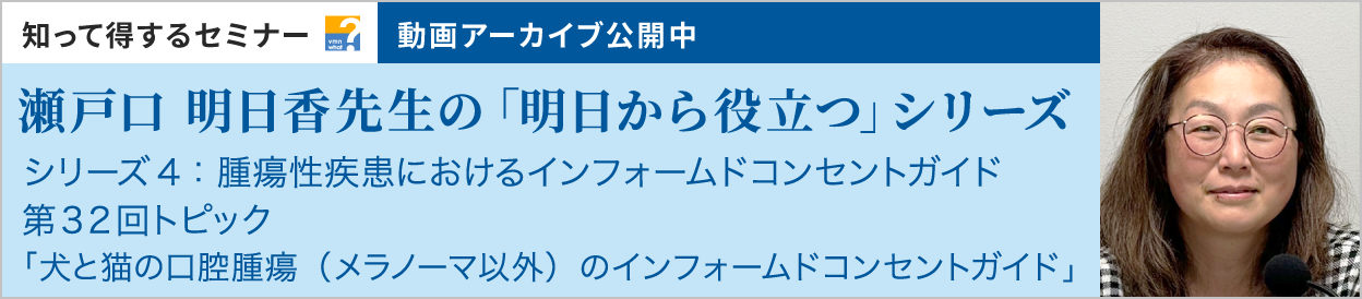 動画アーカイブを公開しました